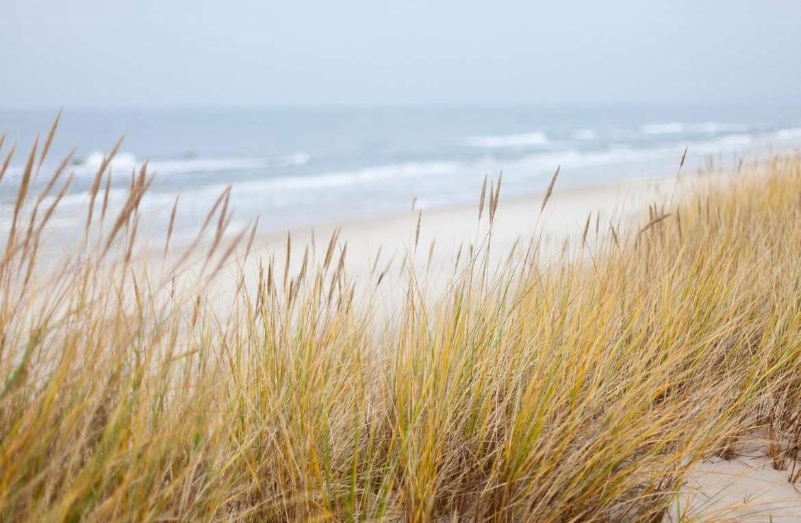 Oase An Der Ostsee Mit 2 Schlafzimmern Heiligenhafen Exterior foto
